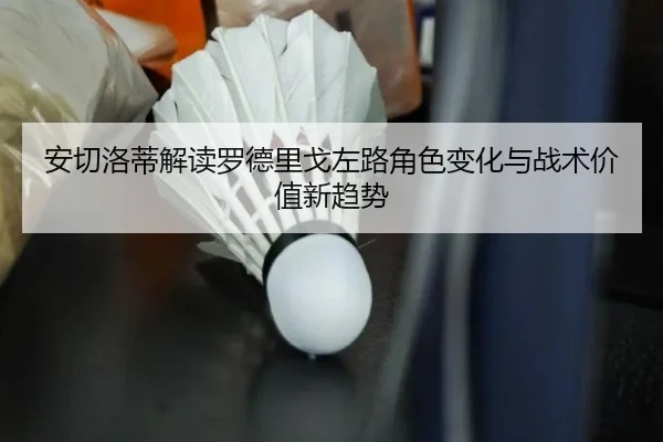 an-qie-luo-di-jie-du-luo-de-li-ge-zuo-lu-jue-se-bian-hua-yu-zhan-shu-jia-zhi-xin-qu-shi-3-307.jpg