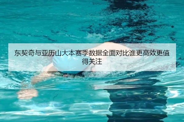 东契奇与亚历山大本赛季数据全面对比谁更高效更值得关注